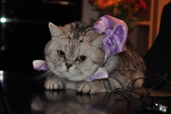 День Рождения - грустный праздник День Рождения - грустный праздник