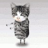 плюшевого котенка - последнее сообщение от КотоВасий